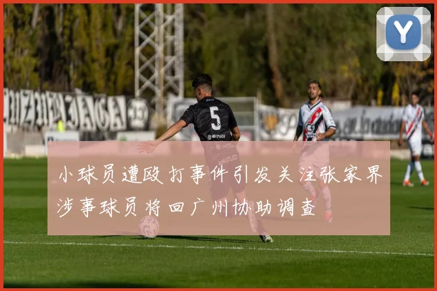 小球员遭殴打事件引发关注张家界涉事球员将回广州协助调查