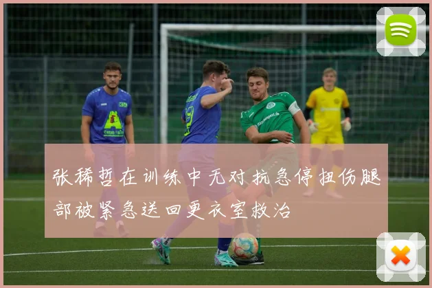 张稀哲在训练中无对抗急停扭伤腿部被紧急送回更衣室救治